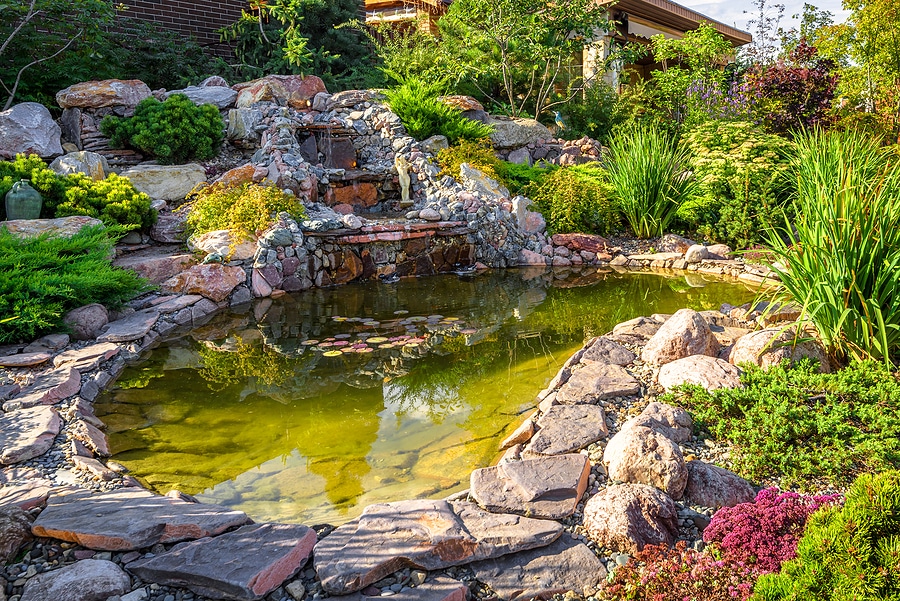 3 Things To Look For When Choosing A Landscape Designer